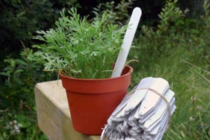 What Thermal Labels Work for Plant Nursery Trays?